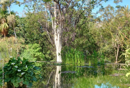 jardin Botanique de Puerto de la Cruz à Tenerife
