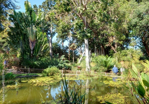 jardin Botanique de Puerto de la Cruz à Tenerife