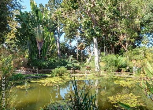 jardin Botanique de Puerto de la Cruz à Tenerife