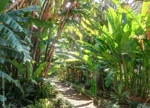 jardin Botanique de Puerto de la Cruz à Tenerife