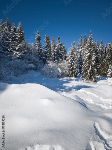 Wallpaper Mural Landscape of Vitosha Mountain, Bulgaria Torontodigital.ca