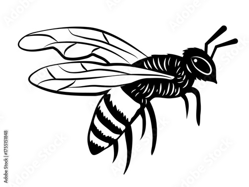 Abeja ilustración científica insecto dibujo retro vintage ideal para logos de marcas de miel