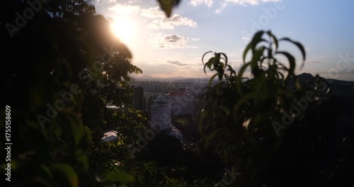 sunset in the forest