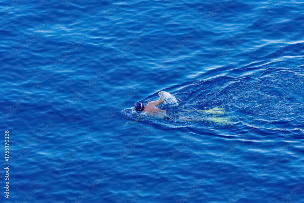 Obraz premium Swimming with a paddle in the sea.