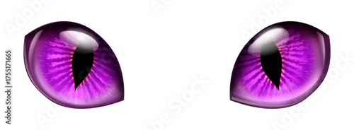 A pair of enchanting purple feline eyes featuring sharp vertical pupils and luminous irises on a white background. The glossy surface reflects light dynamically, enhancing their magical aura.