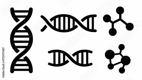 Set of black vector icons showing DNA helix strands and molecular structures, symbolizing genetics, biology, and scientific research concepts.