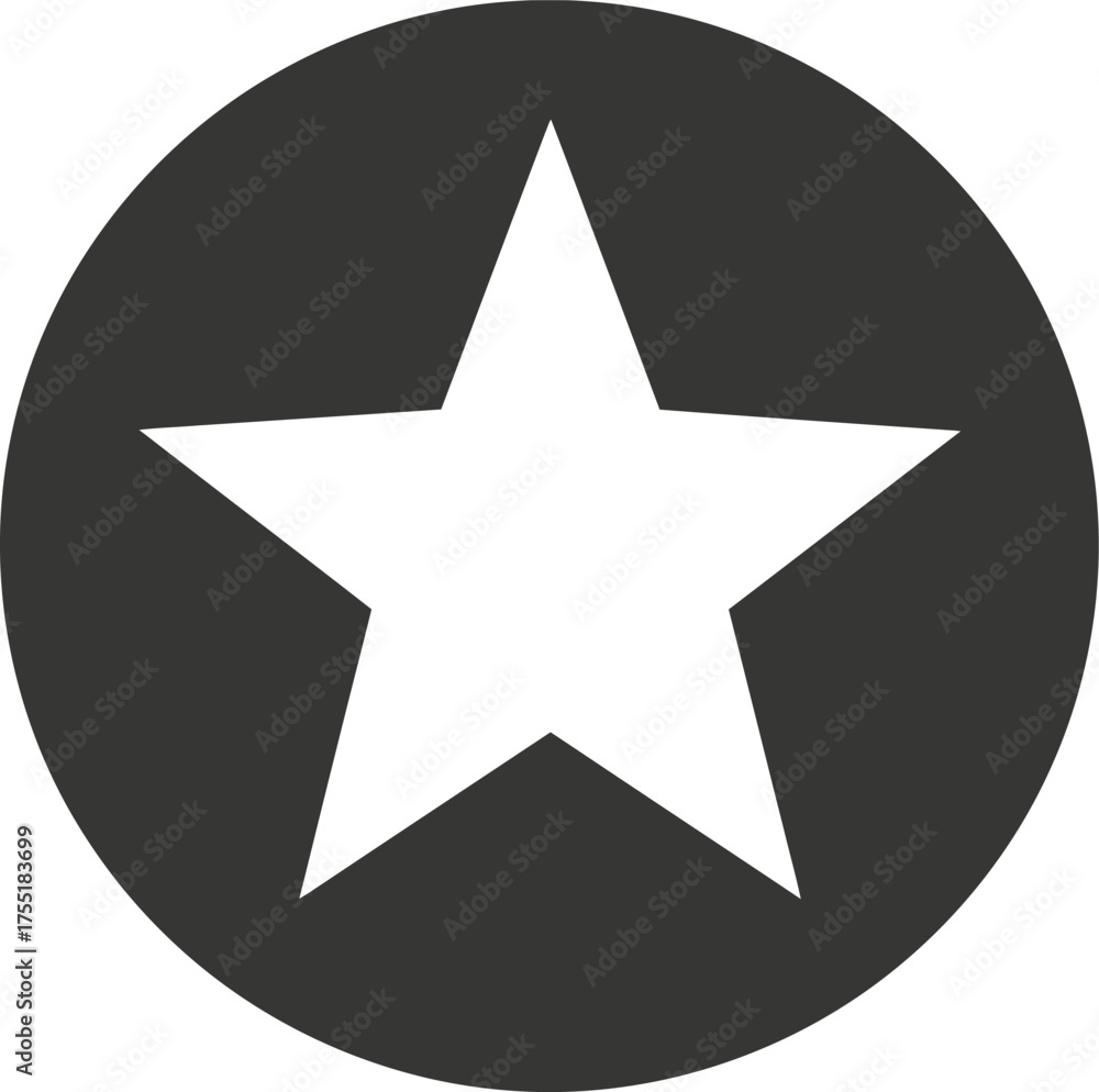 Obraz premium White star on dark gray circle shape geometric symbol icon design element graphic abstract simple isolated clipart vector illustration