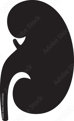 Kidney Health Silhouettes World Kidney Day Organ Awareness Medical Minimal Icon