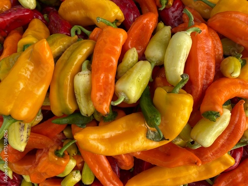 Close-up of Ripe, Vibrant Yellow and Orange Sweet Peppers Harvest