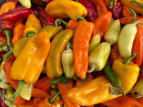 Vibrant Mix Close-up of Red, Orange, and Yellow Sweet and Chili Peppers Organic Market Presentation