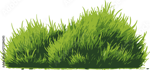 Green bush sketch, hand drawn style, dense foliage, isolated on white — stock vector
