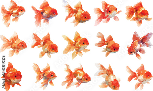 Watercolor Goldfish Clipart Set