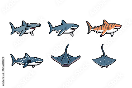 Pixel art sharks and stingrays collection: hammerhead, tiger, whale, manta, spotted ray. Vector illustration