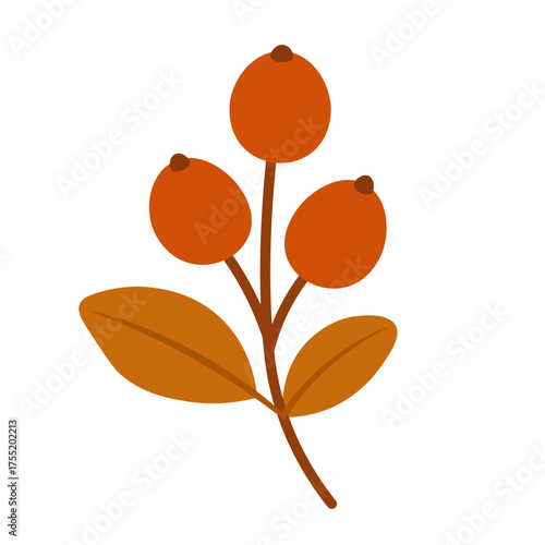 Flat vector illustration of an autumn branch with orange berries and leaves, minimal cute design, white background.