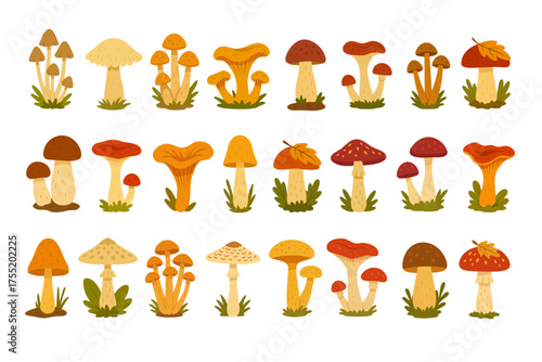 Flat vector illustration of different forest mushrooms in warm autumn colors, cute natural design, white background.