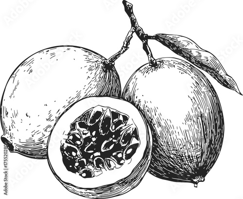 Passion fruit sketch hand drawn whole and half fruits with leaves — stock vector