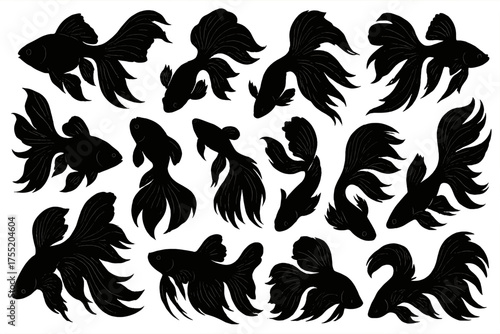 Betta fish silhouettes vector with transparent background, ornamental Siamese fighting fish design for logo and decoration use