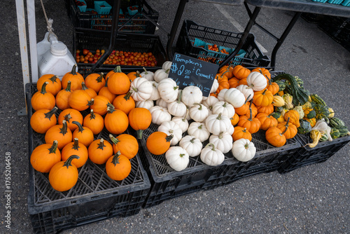 vegetables in farmers market