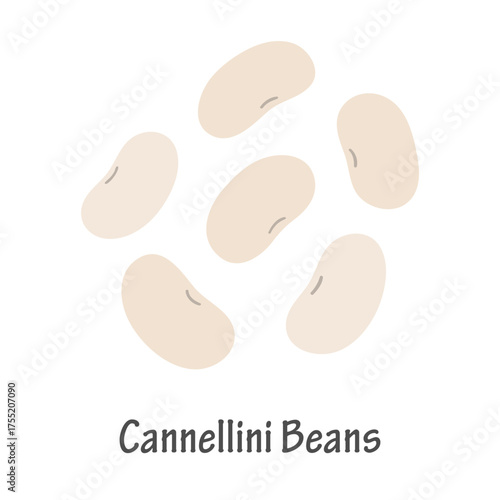 Hand Drawn Cannellini Beans Illustration