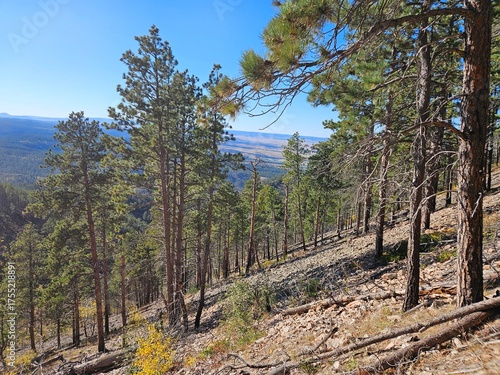 autumn in the mountains