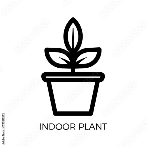 Sustainable Lifestyle Indoor Plant