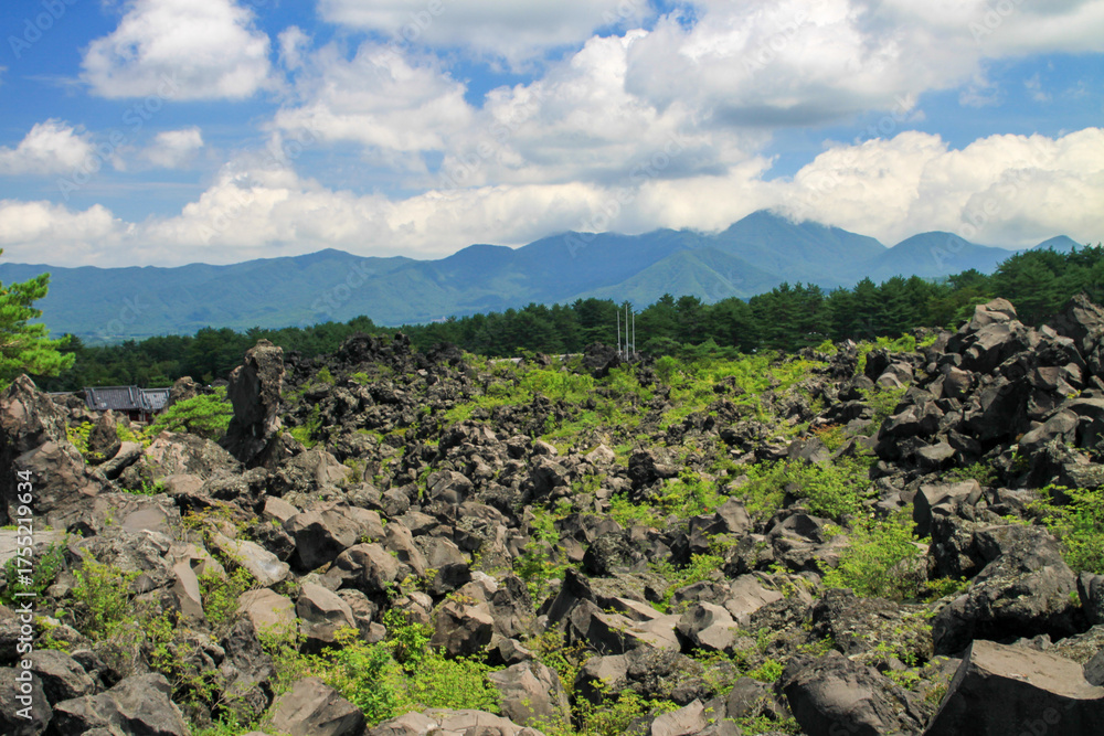 Fototapeta premium 鬼押出し園