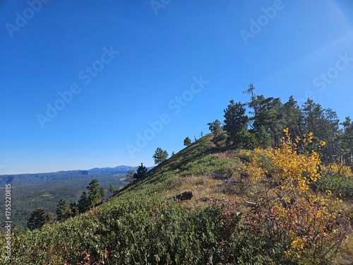 landscape in the mountains