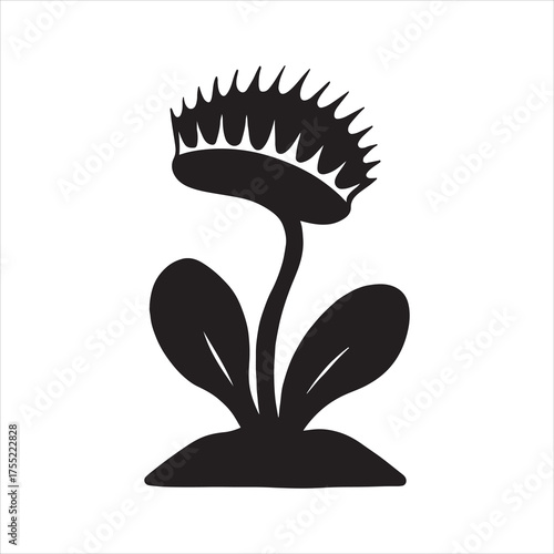 Striking Silhouette of Venus Flytrap Carnivorous Plant Symbolizing Natures Deadly Beauty and Unique Adaptations for Survival with Sharp Features Against a Pure White Background