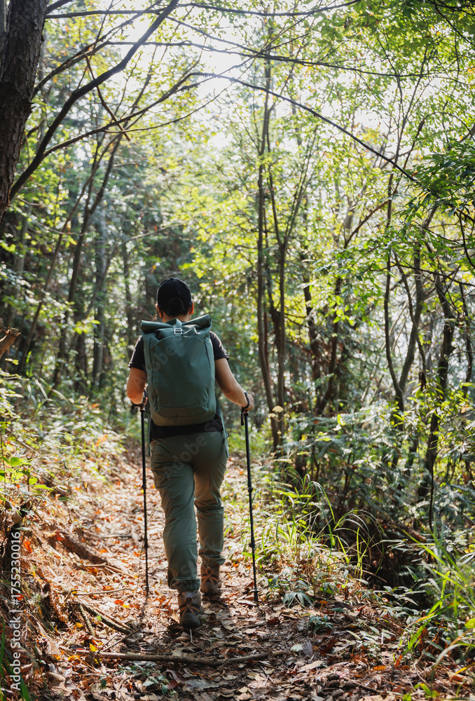 Fototapeta premium Solo hiking in autumn forest mountain
