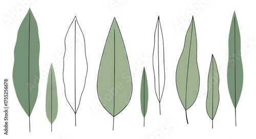 Collection of Various Green Leaf Shapes Nature's Diversity in Botanical Forms