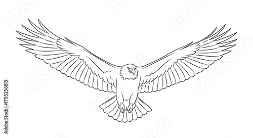 Vector art of majestic eagle soaring with outstretched wings, , symbolizing freedom