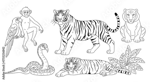 Vector art of monkey, parrot, tiger, and snake in a jungle