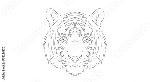 Vector art of tiger face line art illustration, showcasing the animals features