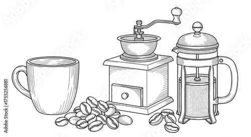 Vector art of a coffee cup, grinder, french press, and beans are shown