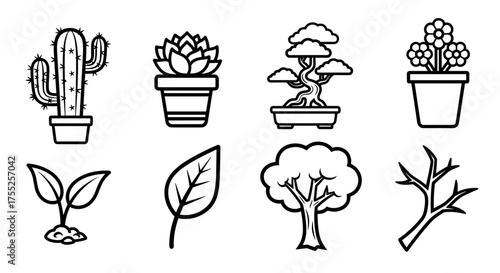 Vector art of collection of plant line drawings, showcasing various species