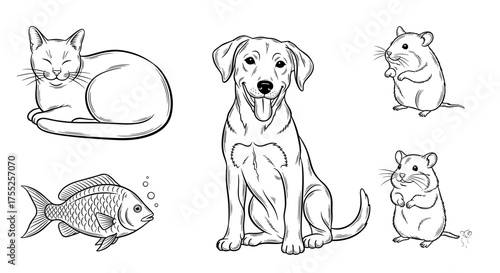 Vector art of collection of pets, showcasing diverse animal friends