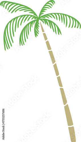 Minimalist Palm Tree Graphic with Green Fronds and Tan Trunk on White Background