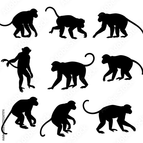 Collection of nine black monkey silhouettes in various playful and active poses showing their tails and limbs