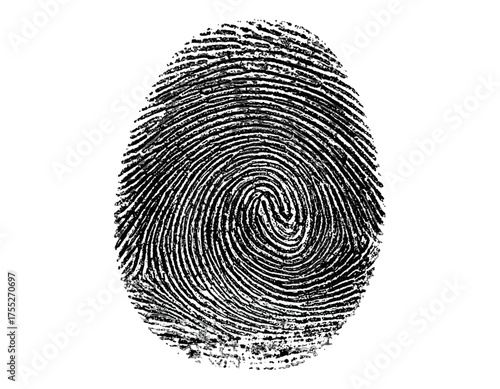 Close-up monochrome rendering of a fingerprint, showcasing swirling ridge patterns on a white background