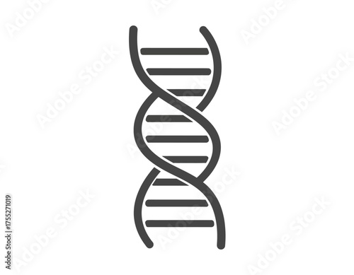 Stylized double helix DNA strand on white background