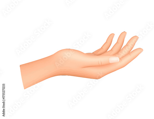 Illustration of a human hand with an open palm. Digitally rendered, realistic skin tone, against white
