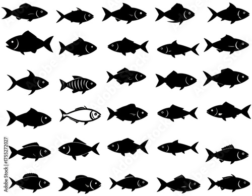 Vector illustration featuring various fish silhouettes. Black fish graphics on white background