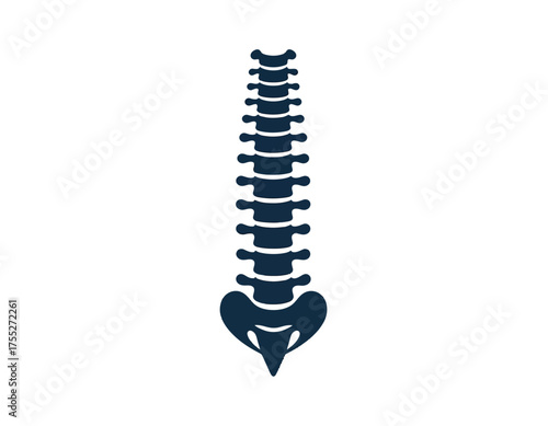 A stylized dark blue illustration of a human spine against a white background. Shows detailed anatomy