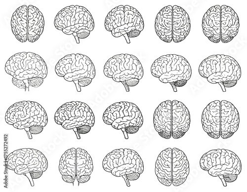 A schematic visual of the human brain shown from multiple perspectives in outline form