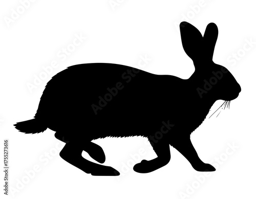 A black silhouette of a running animal on a white background. The animal has long ears