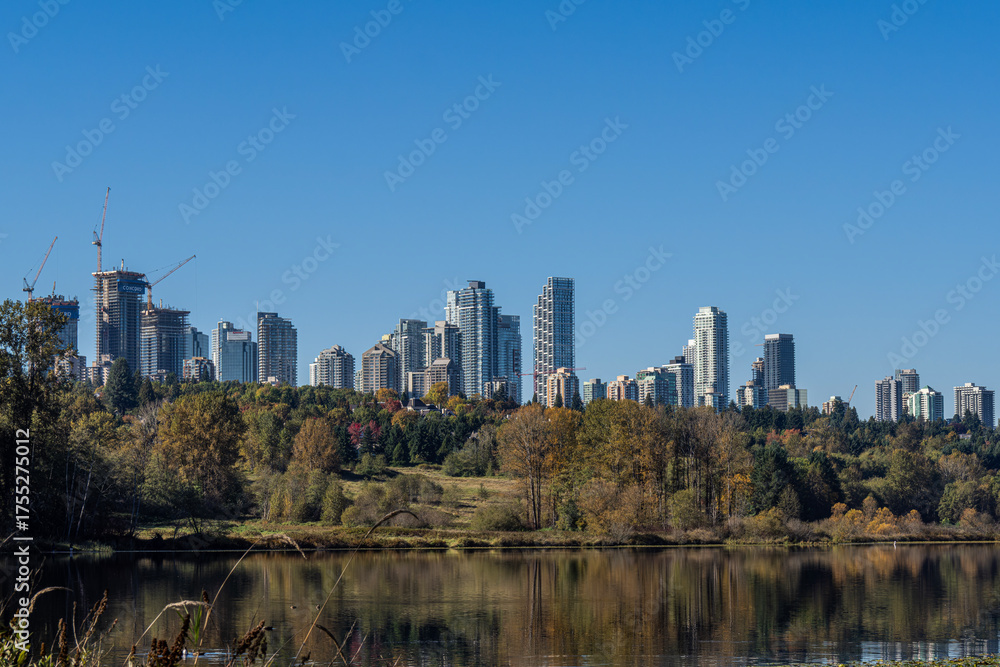 Fototapeta premium Feathered moments at Burnaby Lake Park,. Burnaby, BC, Canada