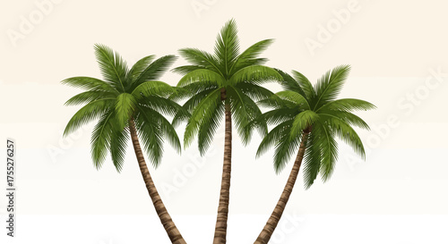 Coconut Palm Tree Vector – Tropical Beach Trees Illustration for Summer Design