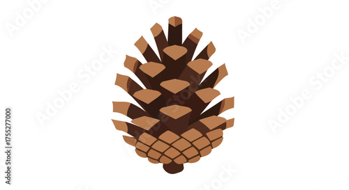 Pine Cone Illustration on White Background - Nature, Forest, Isolated