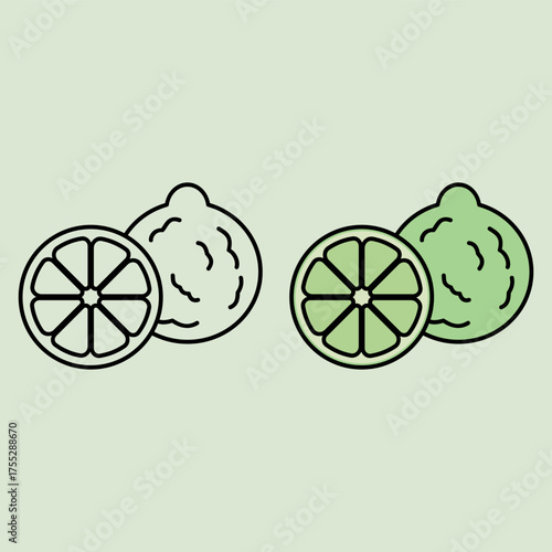 bergamot. food and drink. fruit. aromatic. perfume ingredient. perfume aroma. agriculture. vector illustration
