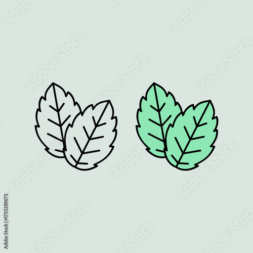 mint leaves. food and drink. aromatic. perfume ingredients. perfume aroma. agriculture. herbal. vector illustration